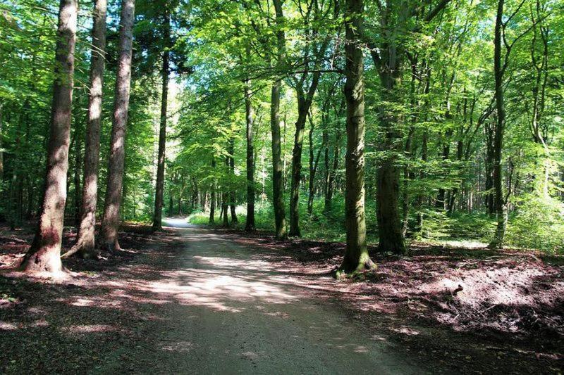 Chalet 'T Veluws Stulpje "Geniet, Ontspan En Droom Even Lekker Weg!" 皮滕 外观 照片